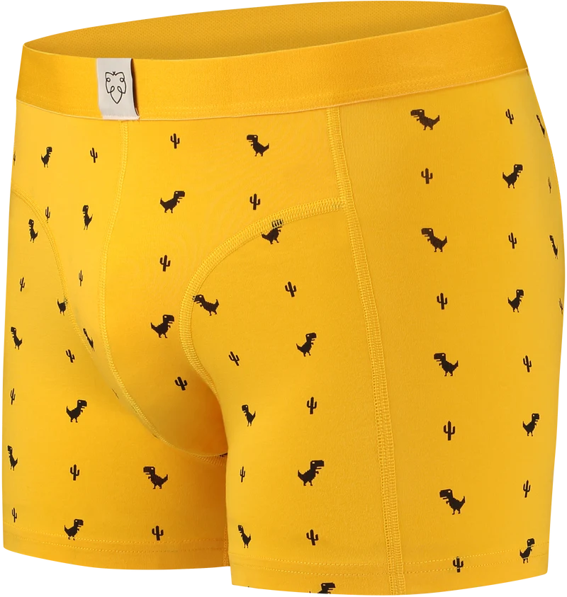 Boxer Briefs Dino