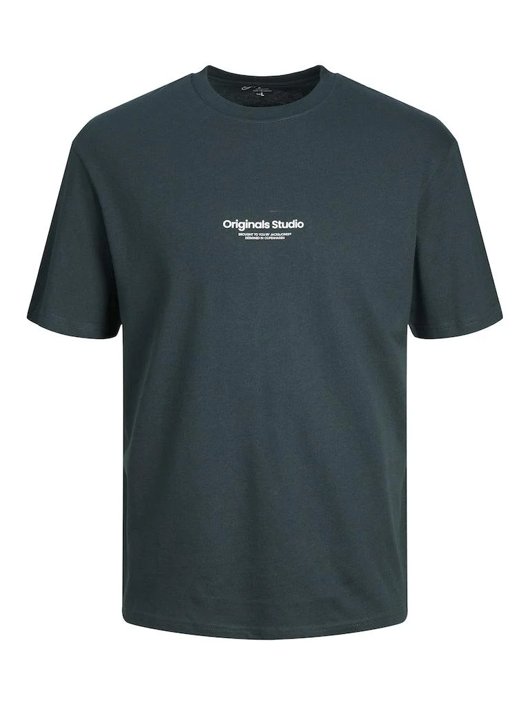 Jack & Jones Jungen T-Shirt JORVESTERBRO TEE SS CREW NECK NOOS JNR