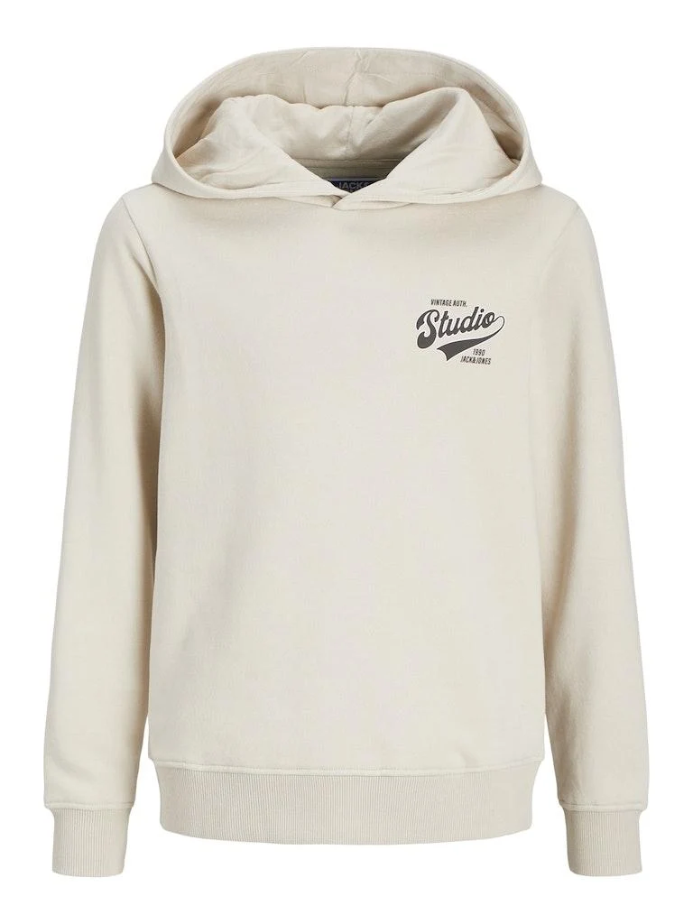 Jack & Jones Jungen Hoodie JJTREND SWEAT HOOD SMU JNR
