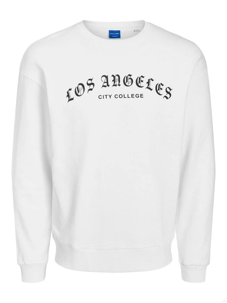 Jack & Jones Herren Pullover JORNEWYRK SWEAT CREW NECK KA