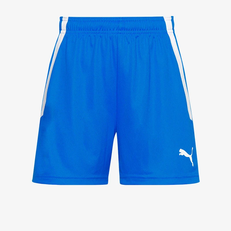 Puma Damen Team Liga Shorts