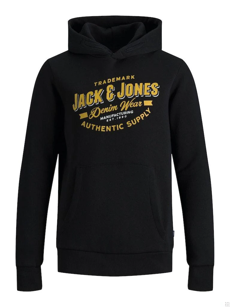 Jack & Jones Junge Hoodie JJELOGO SWEAT HOOD 2 COL 21/22 NOOS JNR