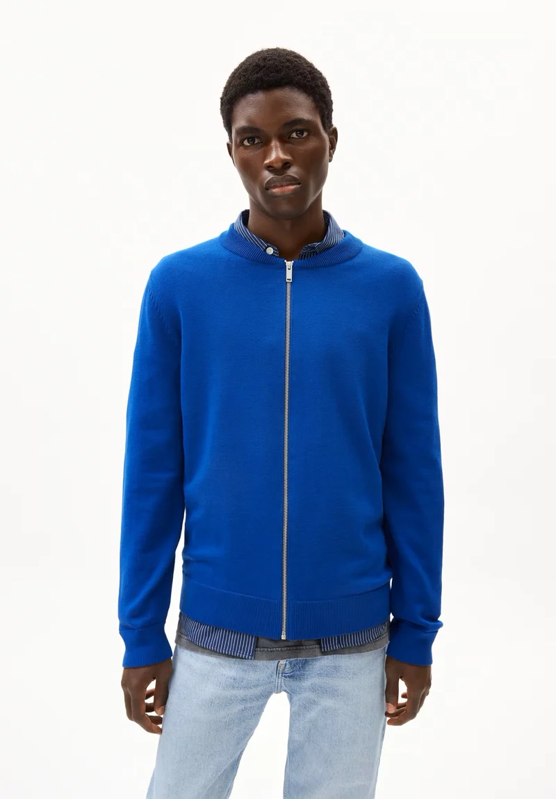 Agaamon lapis blue