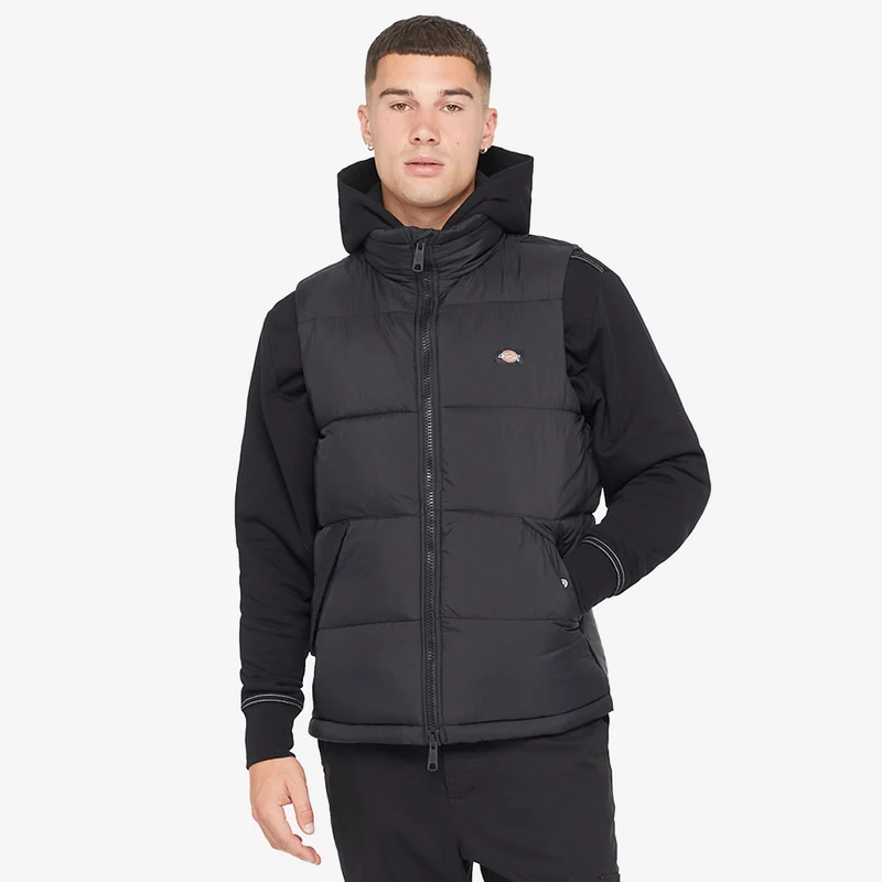 Dickies Waldenburg Weste