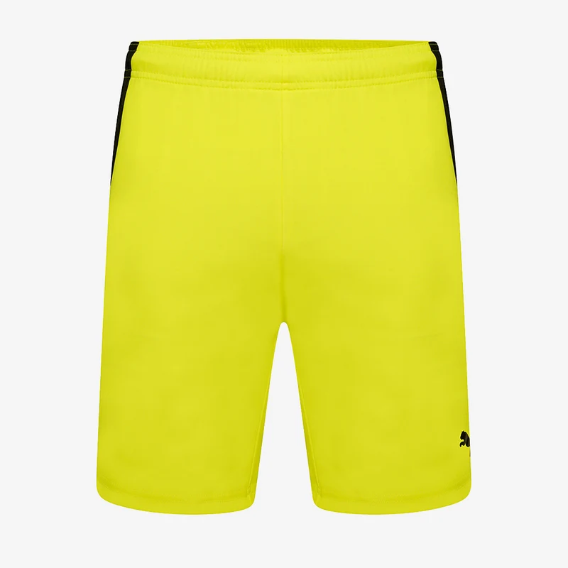 Puma Team Liga Shorts