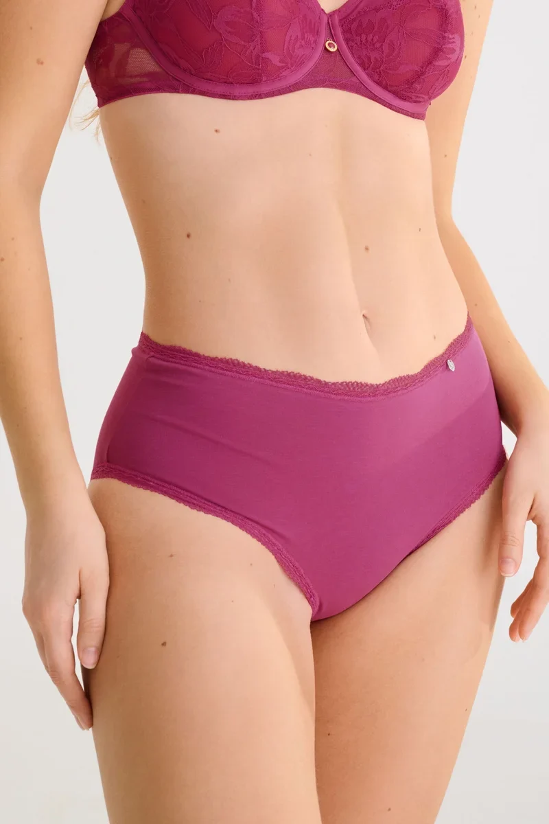 Lisca - Everyday High Waisted Slips Wild Rose