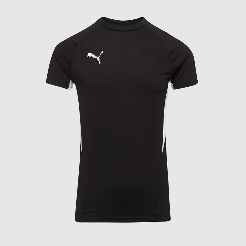 Puma teamEVOSTRIPE 25 Slim T-Shirt