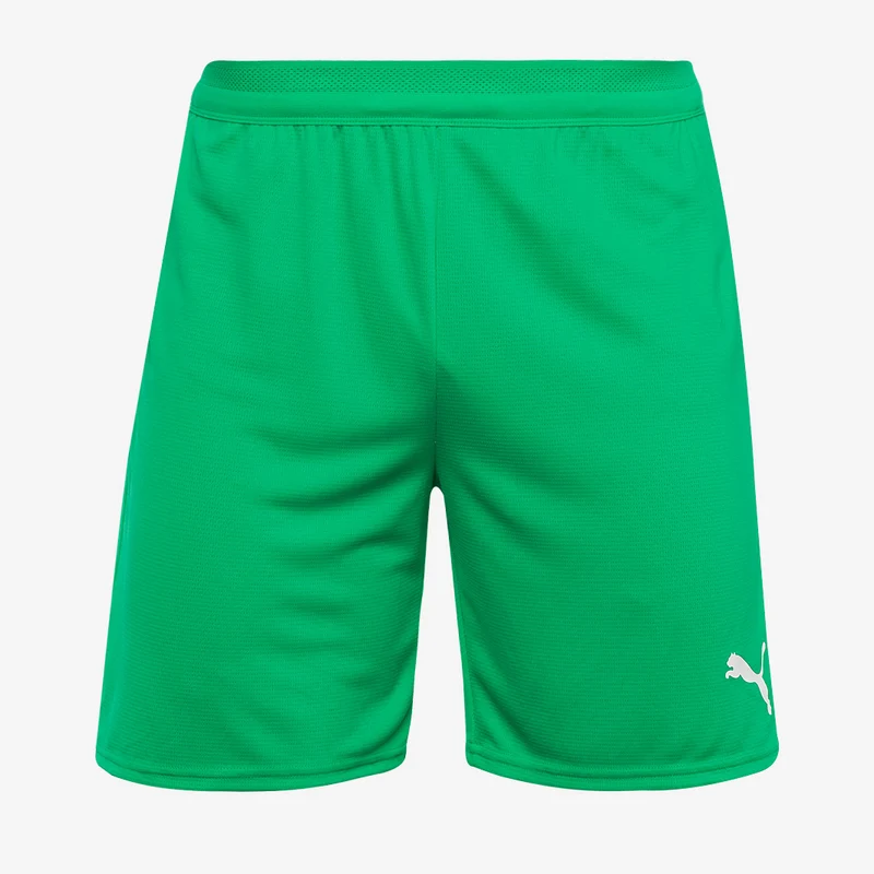 Puma teamCUP 25 Shorts