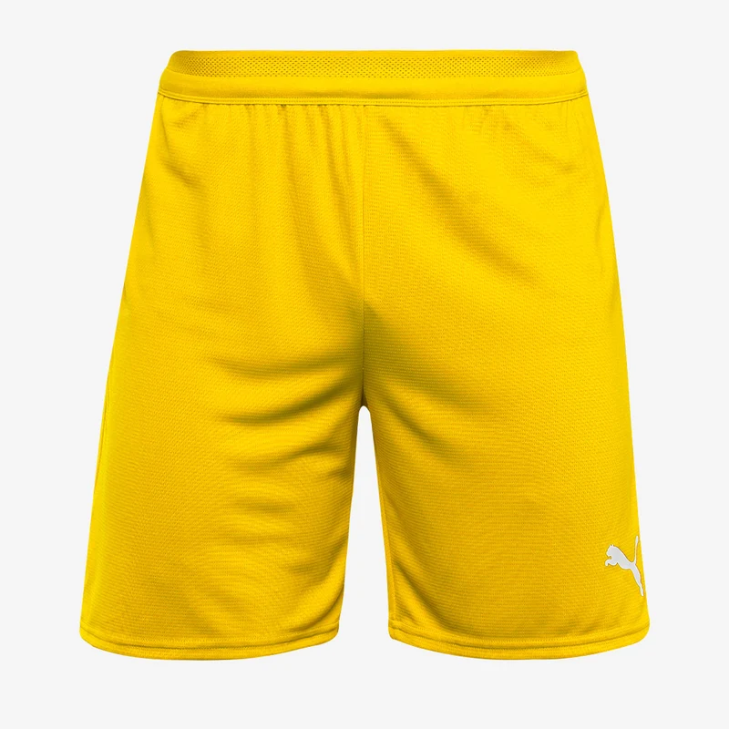 Puma teamCUP 25 Shorts