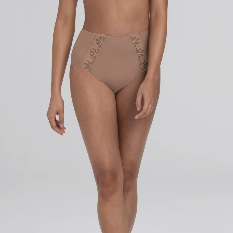 Anita - Sophia High-Waist-Slip + Dusty Rose