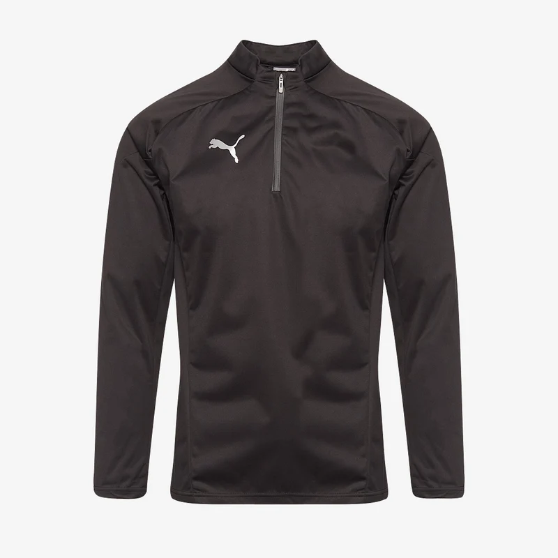 Puma Team Cup Training 1/4 Zip Regentop
