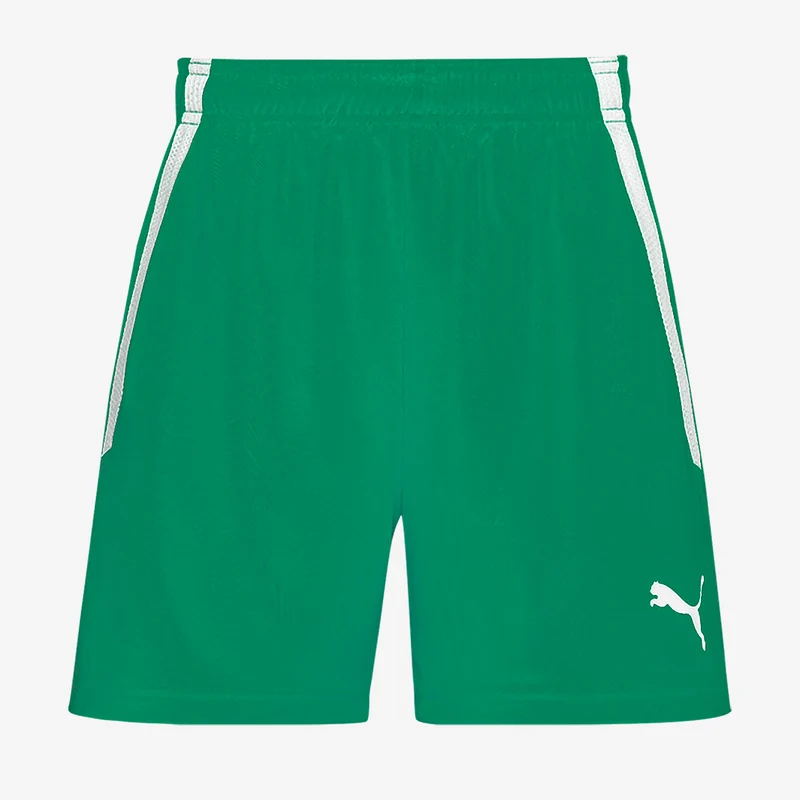 Puma Damen Team Liga Shorts