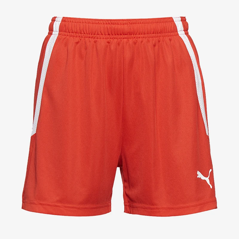 Puma Damen Team Liga Shorts