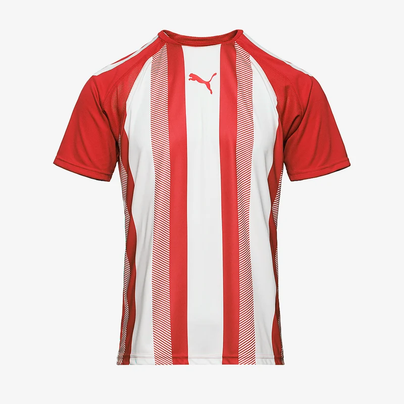 Puma Team Liga Striped Shirt