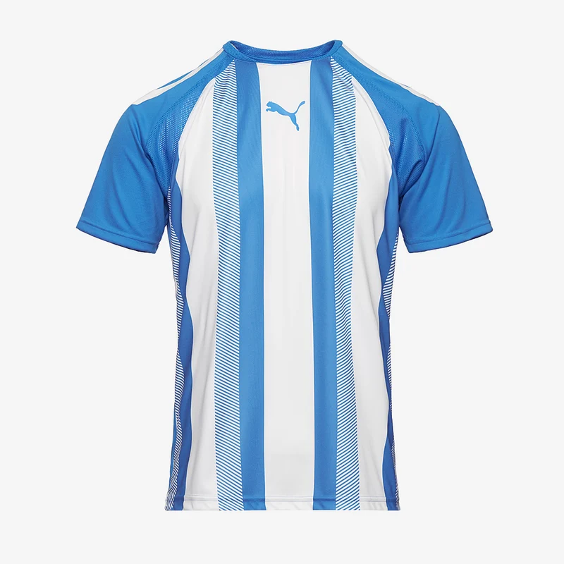 Puma Team Liga Striped Shirt