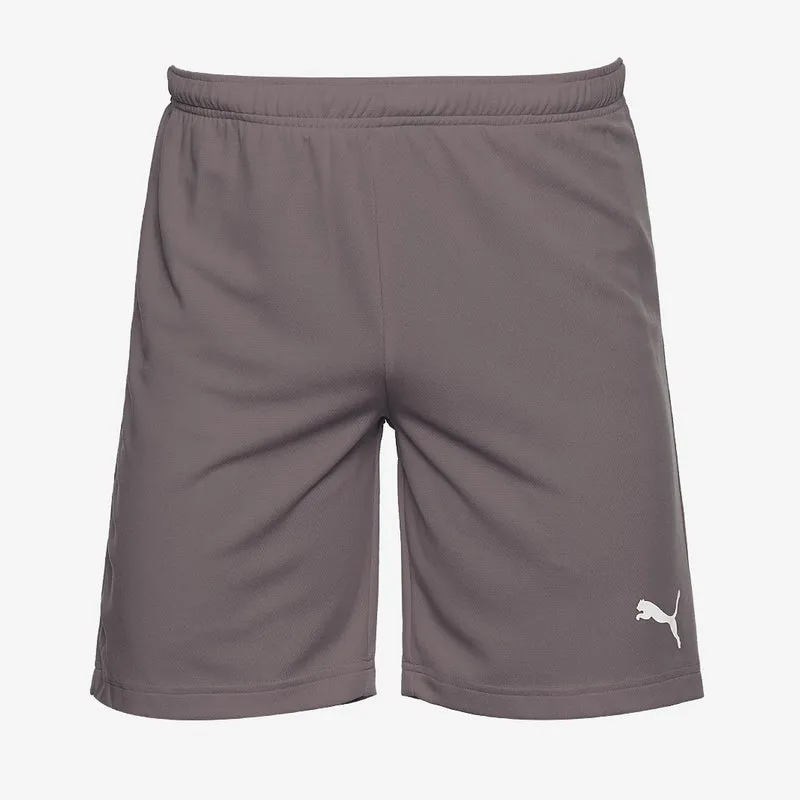 Puma teamRISE Shorts