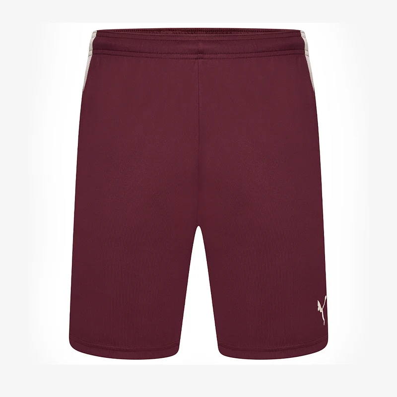 Puma Kinder Team Liga Shorts