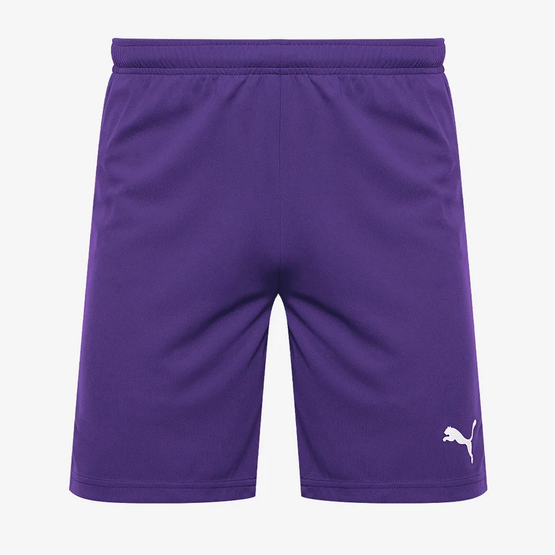 Puma Kinder Team Rise Shorts