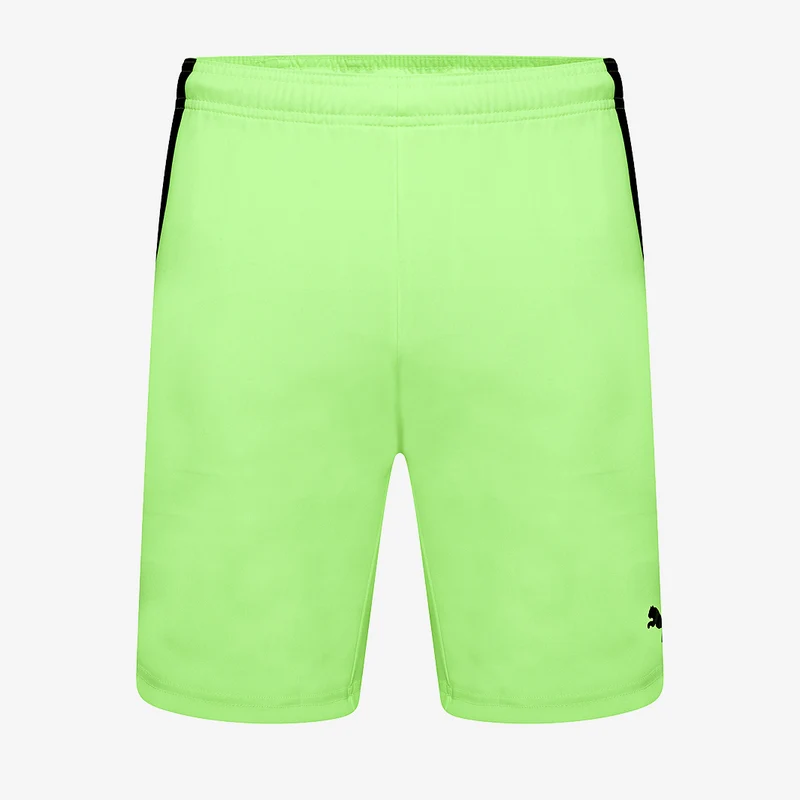 Puma Team Liga Shorts