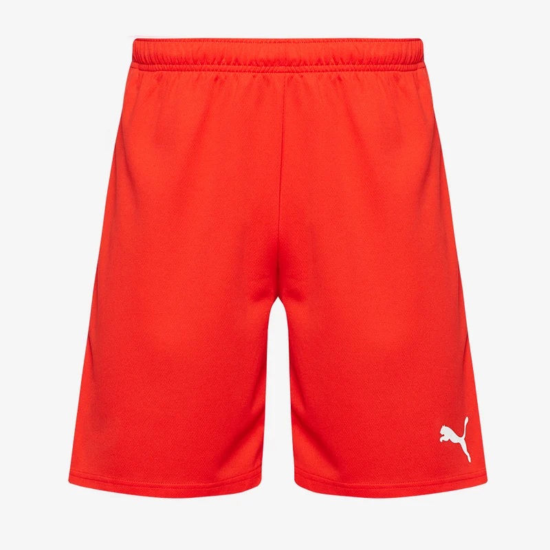 Puma teamRISE Shorts