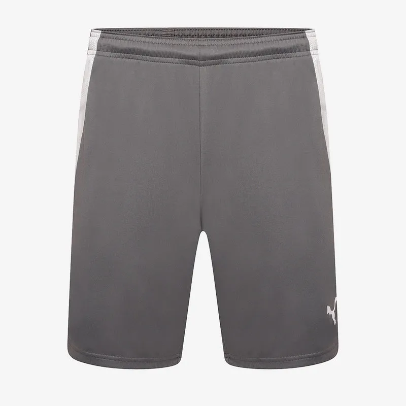 Puma Team Liga Shorts