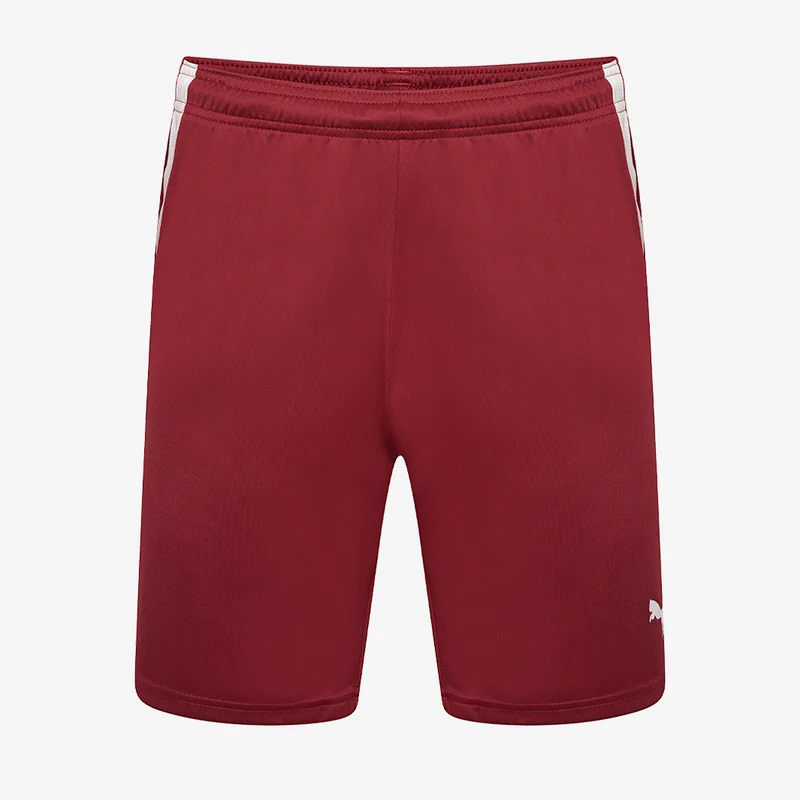 Puma Kinder Team Liga Shorts