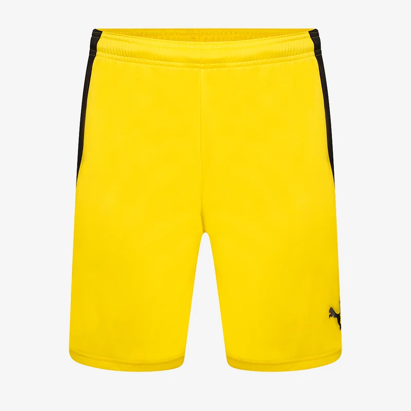 Puma Team Liga Shorts