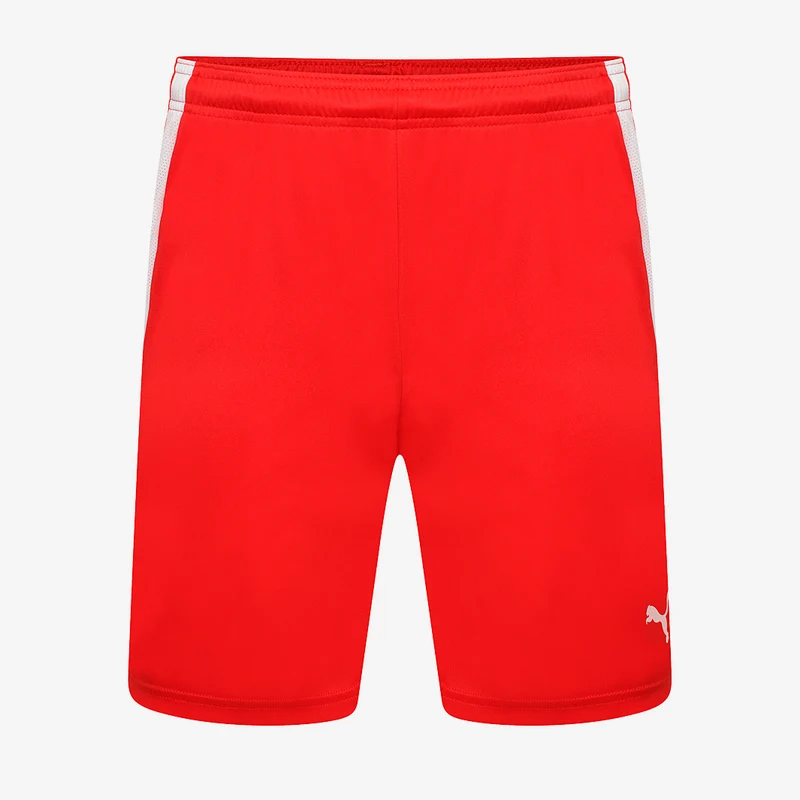 Puma Kinder Team Liga Shorts