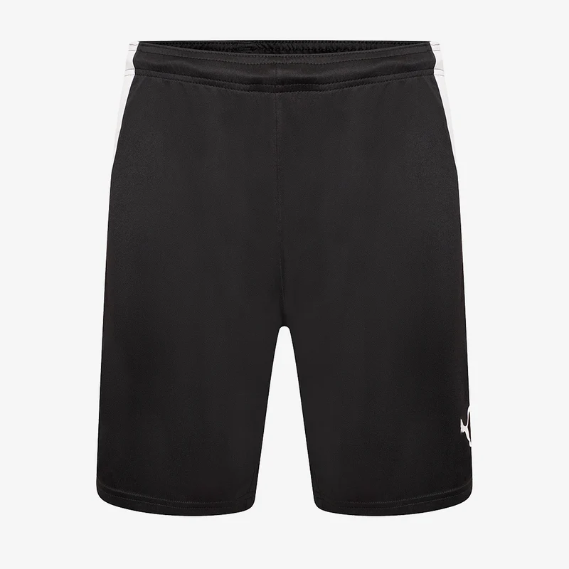 Puma Team Liga Shorts