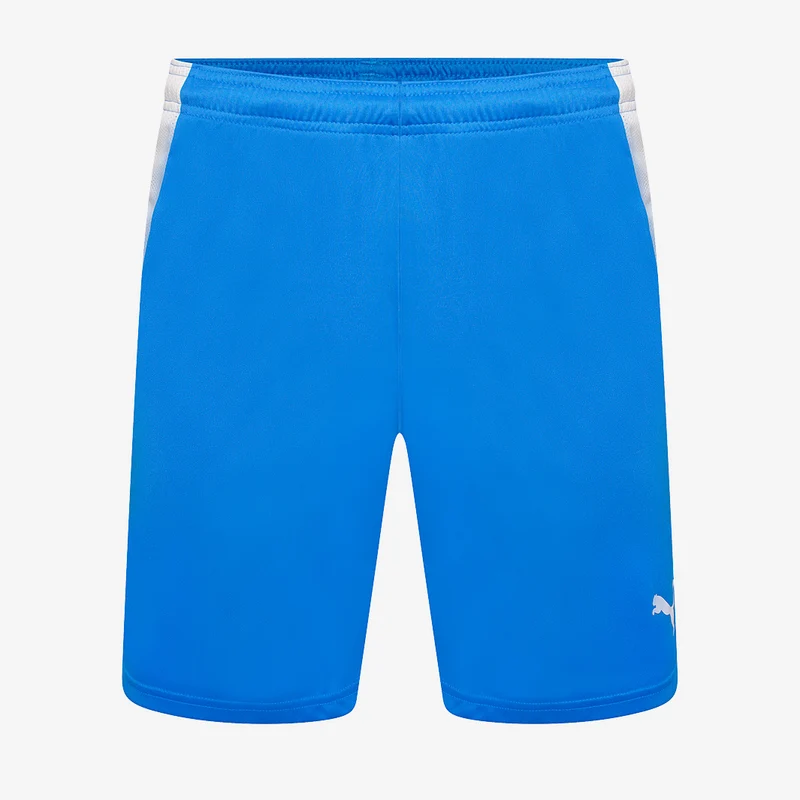 Puma Team Liga Shorts
