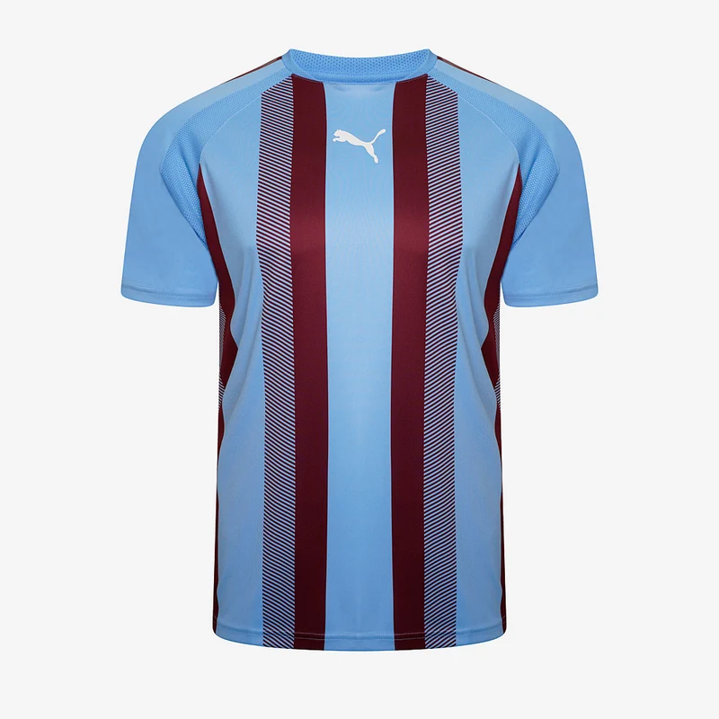 Puma Team Liga Striped Shirt