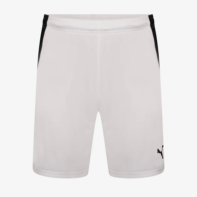 Puma Team Liga Shorts