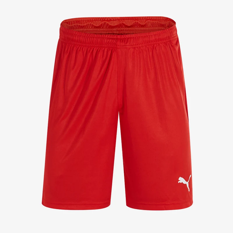 Puma Kinder Liga Core Shorts