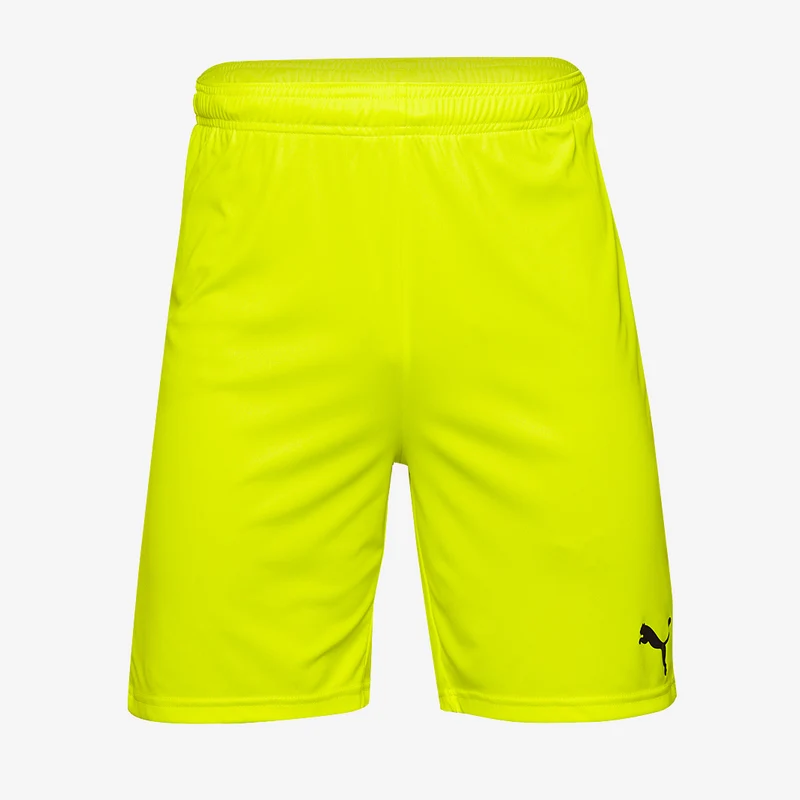 Puma Goal 23 Knit Shorts