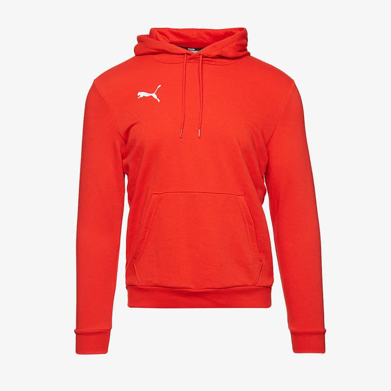 Puma Goal 23 Casuals Hoodie