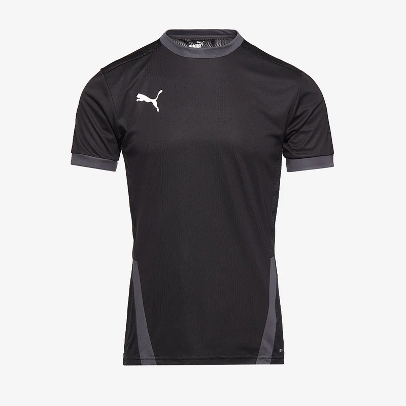 Puma teamGOAL 23 SS Shirt