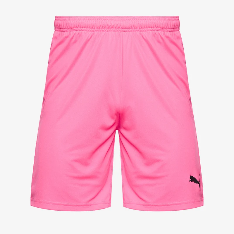 Puma Goal 23 Knit Shorts