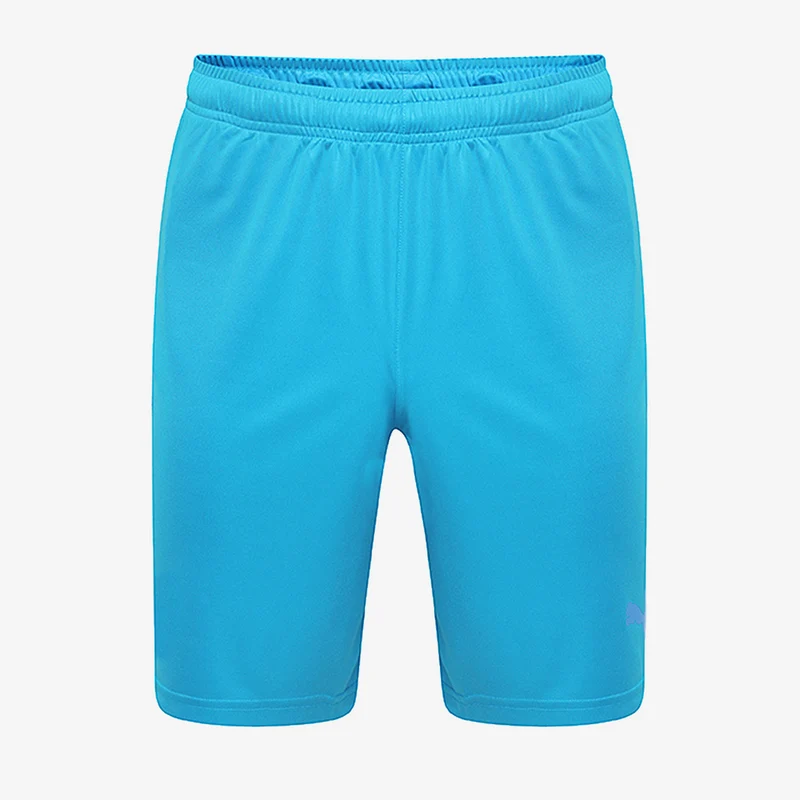 Puma Liga Core Shorts